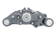 LRG549 Jarrusatula Meritor D Lisa - TCM.140.549  thumbnail